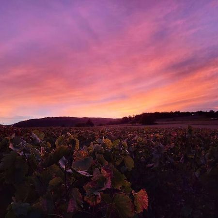 Le Clos Du Botaniste Pouilly-le-Monial Extérieur photo
