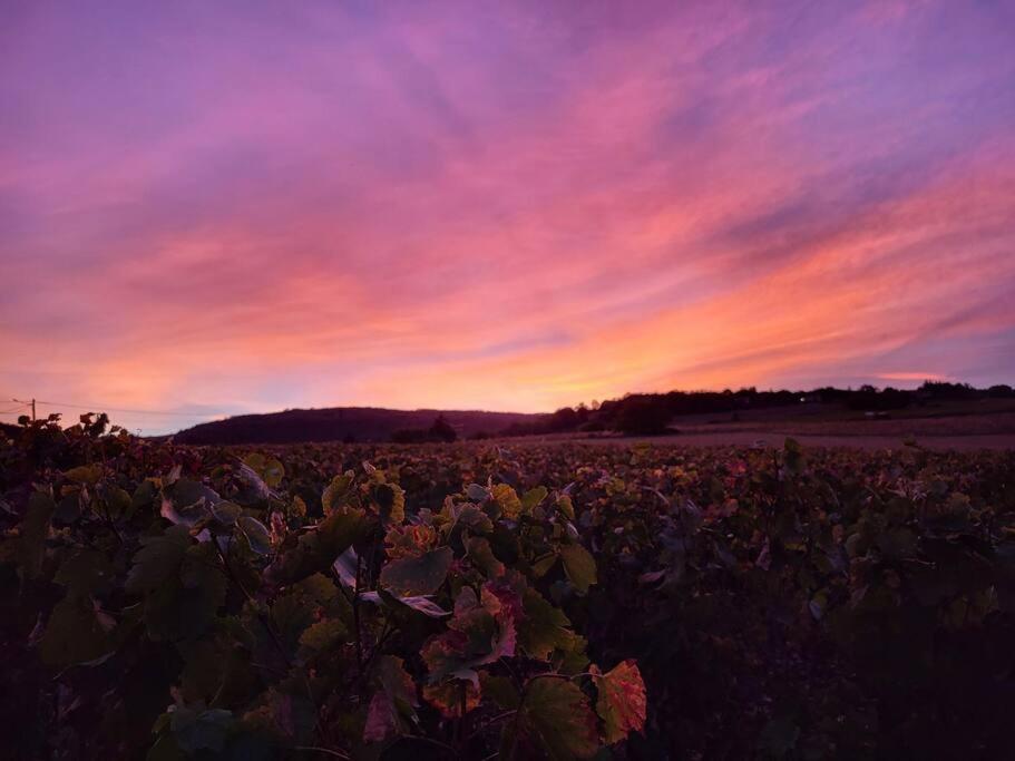Le Clos Du Botaniste Pouilly-le-Monial Extérieur photo