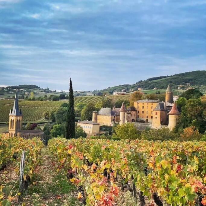 Le Clos Du Botaniste Pouilly-le-Monial Extérieur photo